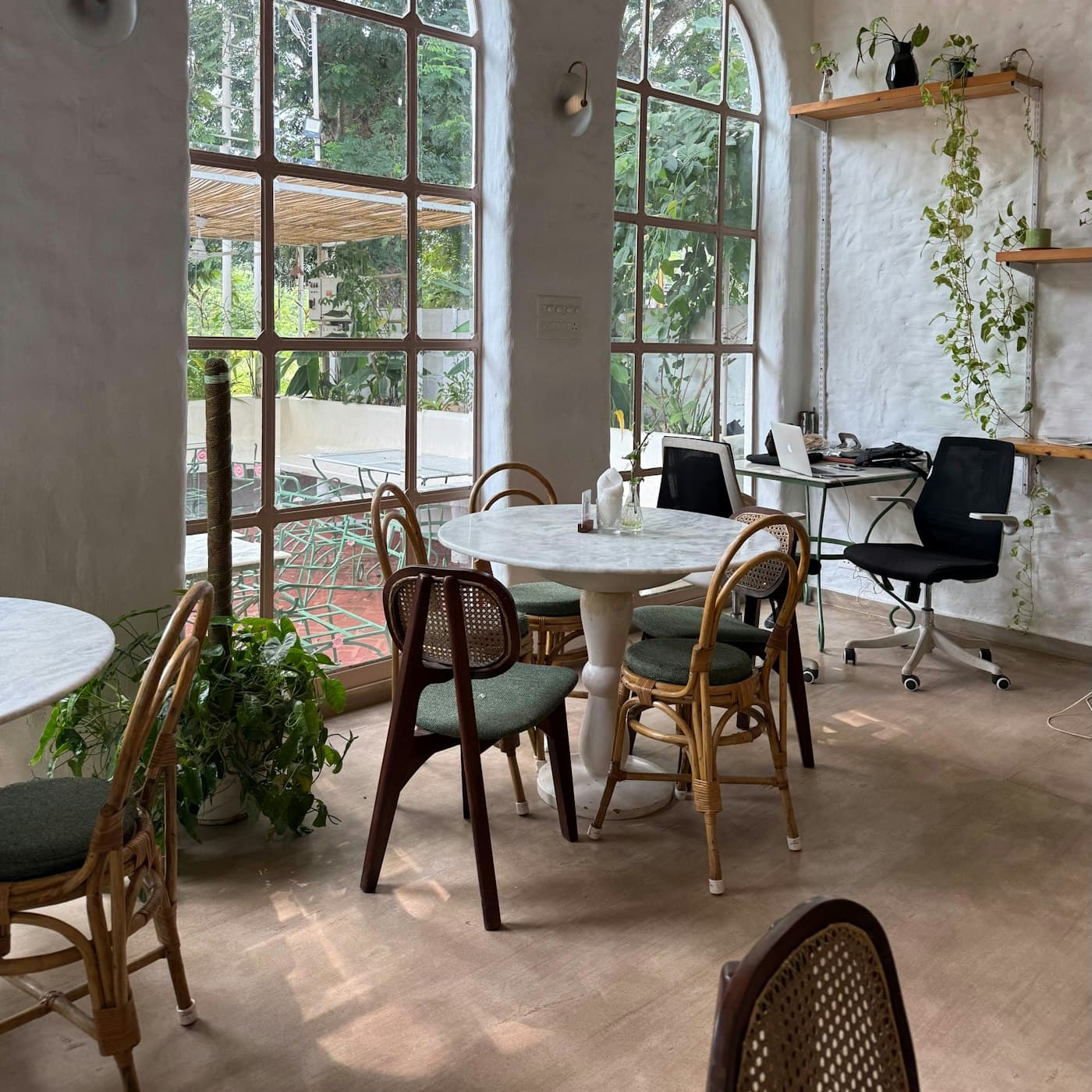 The cafe